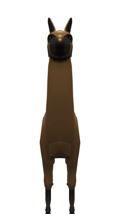 Alpaca sprint simulator contestant