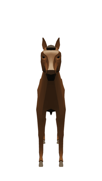 Horse sprint simulator contestant