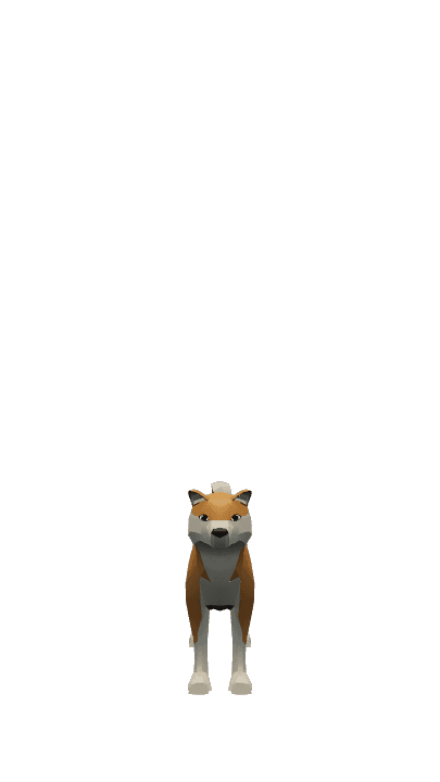Shiba sprint simulator contestant